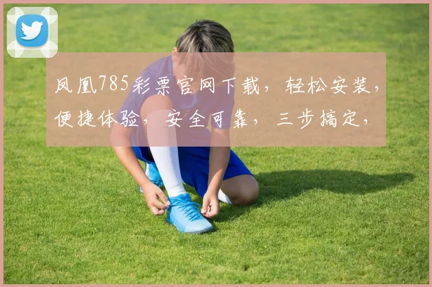 凤凰785彩票官网下载，轻松安装，便捷体验，安全可靠，三步搞定，快来下载