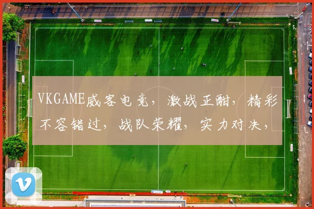 VKGAME威客电竞，激战正酣，精彩不容错过，战队荣耀，实力对决，全民狂欢